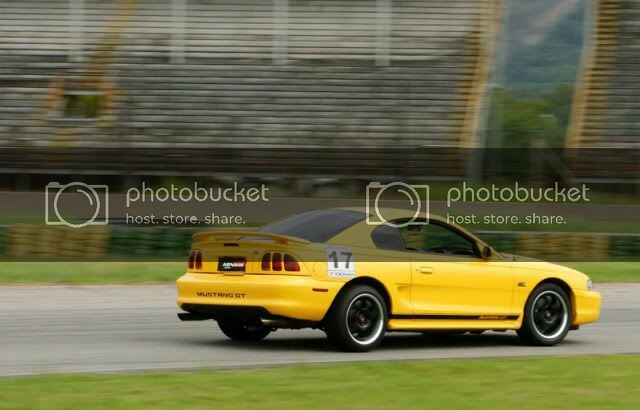 DSC02345_Mustangamarelo.jpg